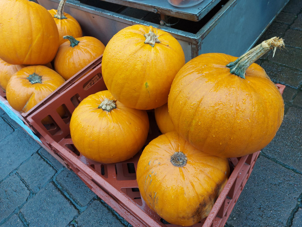 These kind of natural pumpkins do NOT catch light. File photo Frome Nub News 