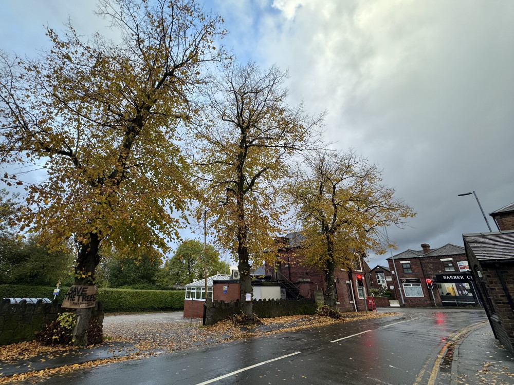 The council has now agreed not to chop the 100-year-old linden trees on Bagnall Road in Milton (LDRS).