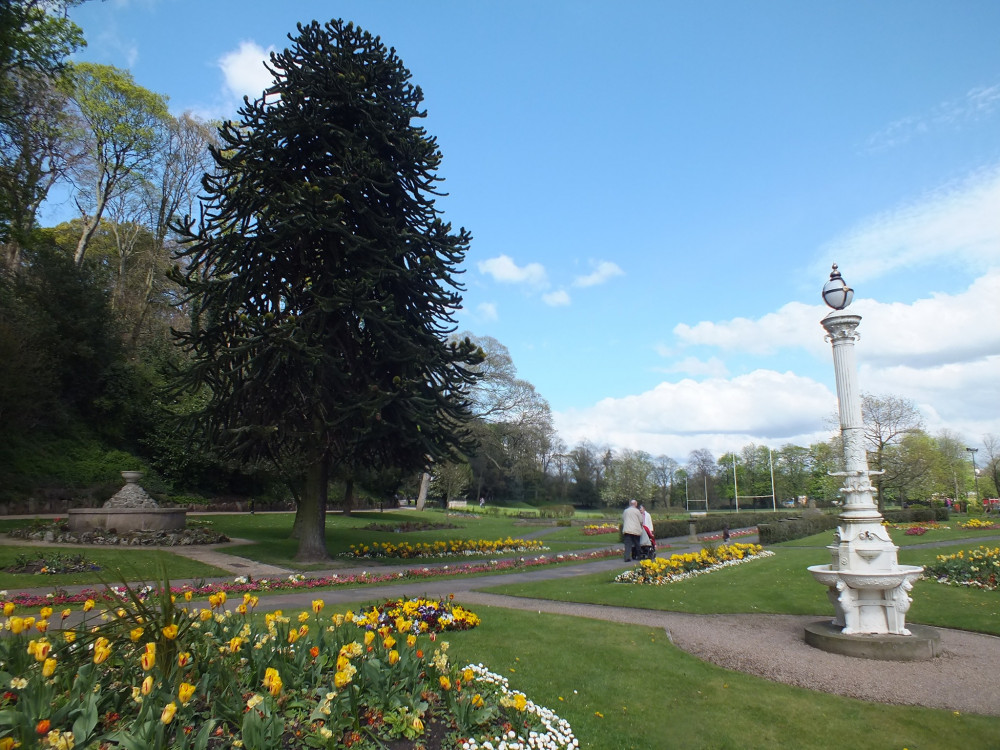 Developers are being urged to follow new guidelines to protect natural habitats and promote biodiversity by Cheshire East Council. Image credit: Nub News. 