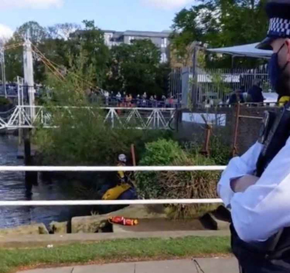 Medics treat the whale at the scene