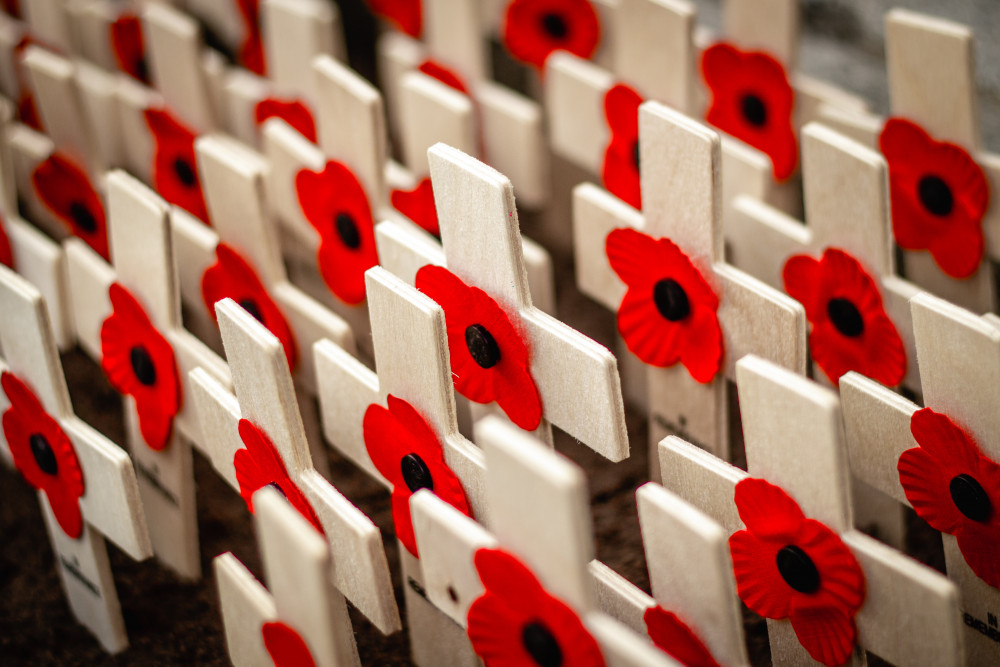 Brentford Library will be hosting a Remembrance Sunday service (credit: Chris Sansbury/ Unsplash).