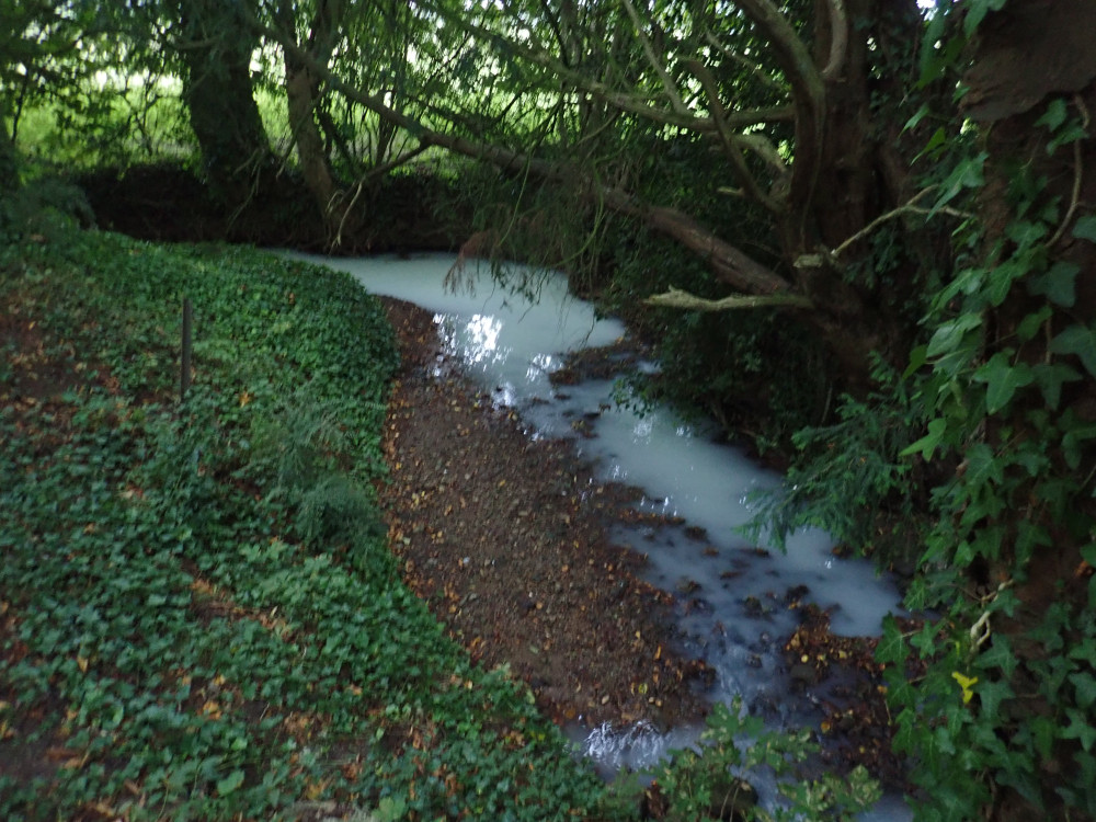  On or before the 28 September 2020 you did cause an unpermitted water discharge activity, namely the discharge of poisonous, noxious or polluting matter from Lye Cross Farm, Redhill, Bristol, into inland fresh waters