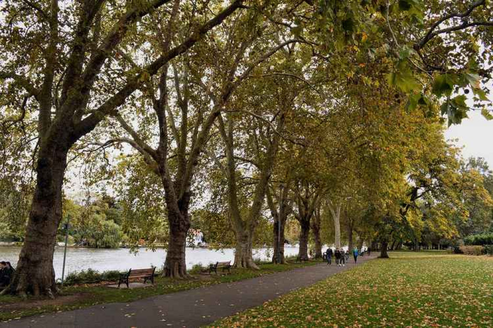 The dispersal zone covers Kingston riverside including Canbury Gardens (Credit: AndyScott via Wikimedia Commons) The dispersal zone covers Kingston riverside including Canbury Gardens (Credit: AndyScott via Wikimedia Commons)