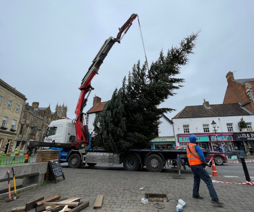 The tree being carefully put in place (Credit: Glastonbury Town Council). 