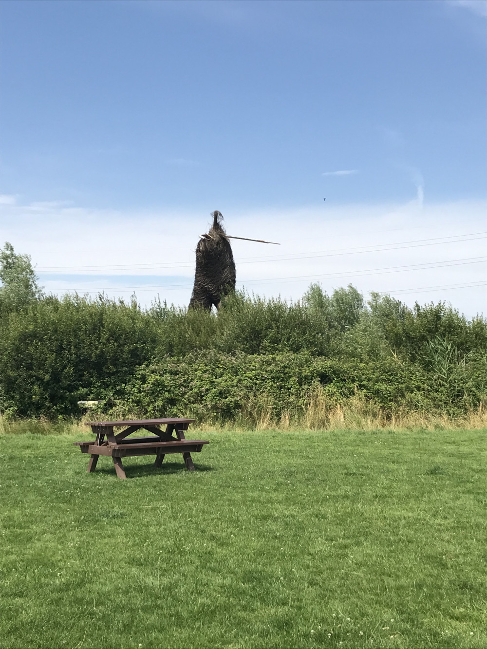 Willow Man in July 2021 : Photo Somerset Council 