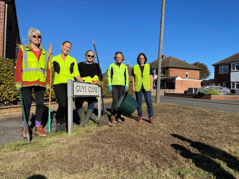 The verge in Warwick has been seeded to boost biodiversity (image supplied)