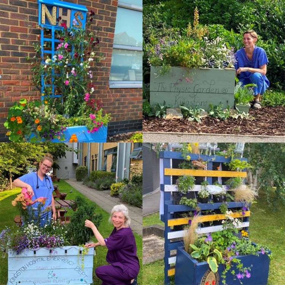 A montage of the beautiful planters at Kingston hospital (Image: Kingston Hospital)