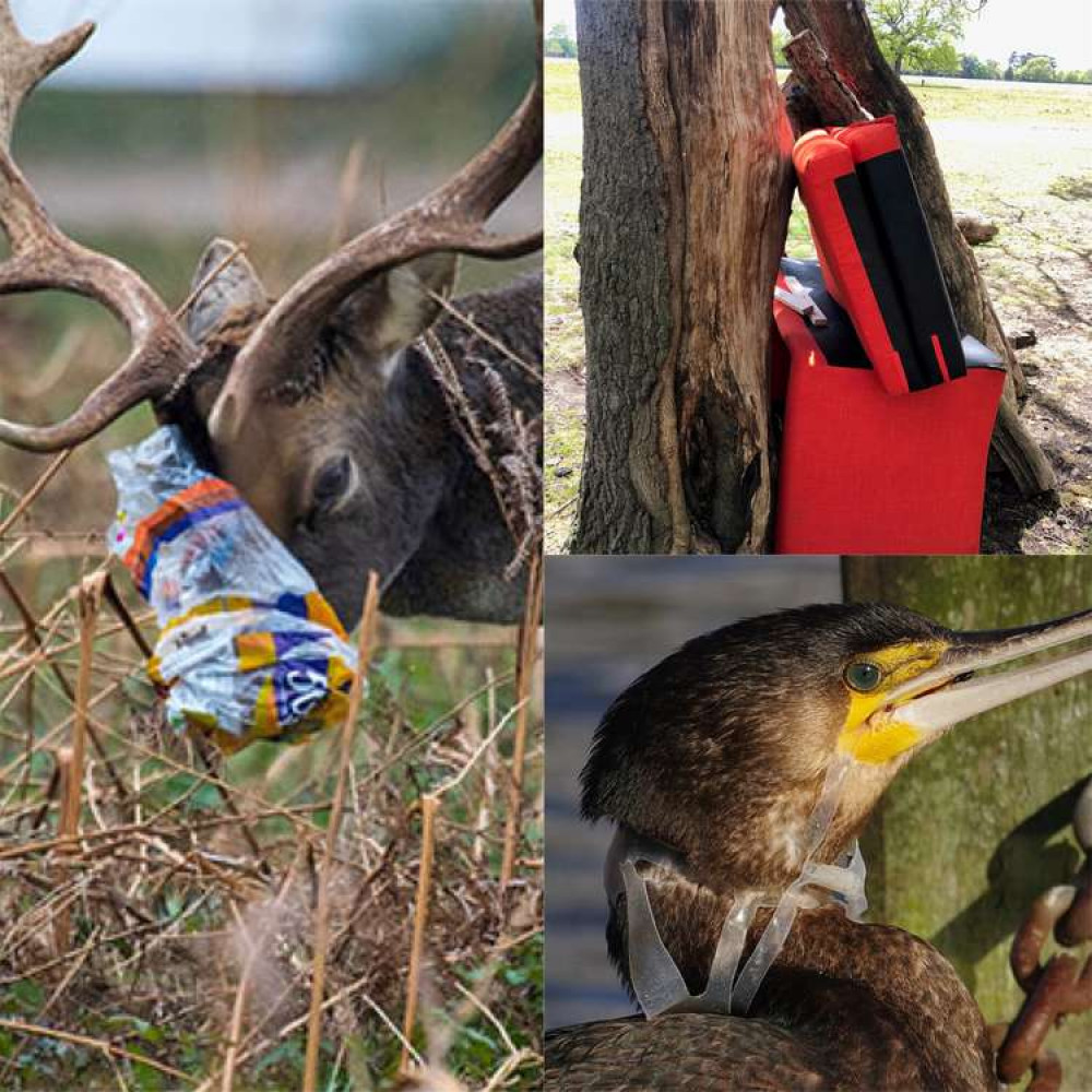 Distressing images show the devastating effect of litter in the parks (Image: Royal Parks)