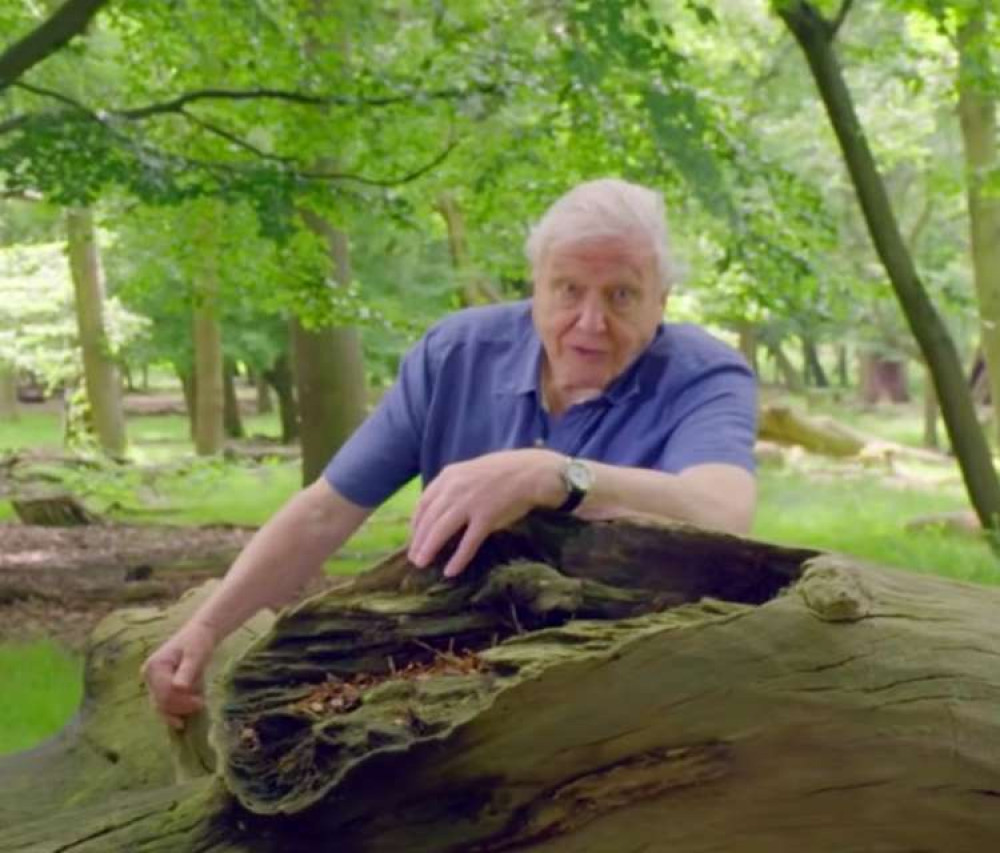 Sir David Attenborough has spoken out against littering in the Royal Parks (Image: Royal Parks)