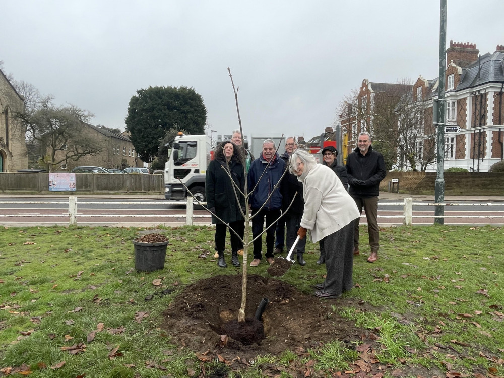 The Friends of Twickenham Green held a special tree-planting ceremony this morning. (Photo Credit: Heather Nicholls).