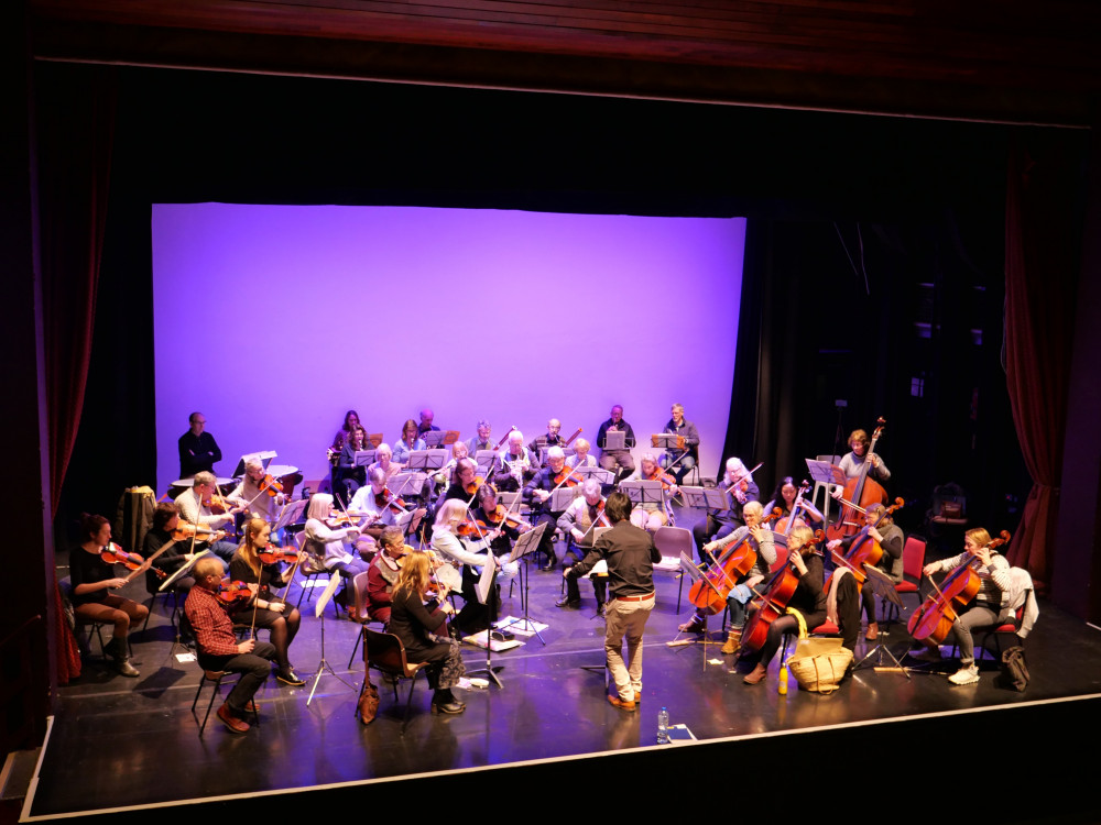 Mid-Somerset Orchestra Winter Matinee Concert