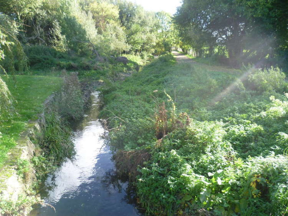 Kingston's Hogsmill nature reserve, where the rare bird was spotted (Photo: Marathon via Geograph)