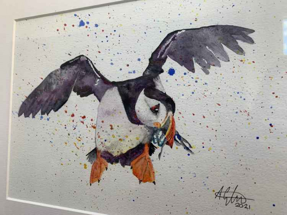 A puffin captured in flight by Andrew Croughton A puffin captured in flight by Andrew Croughton