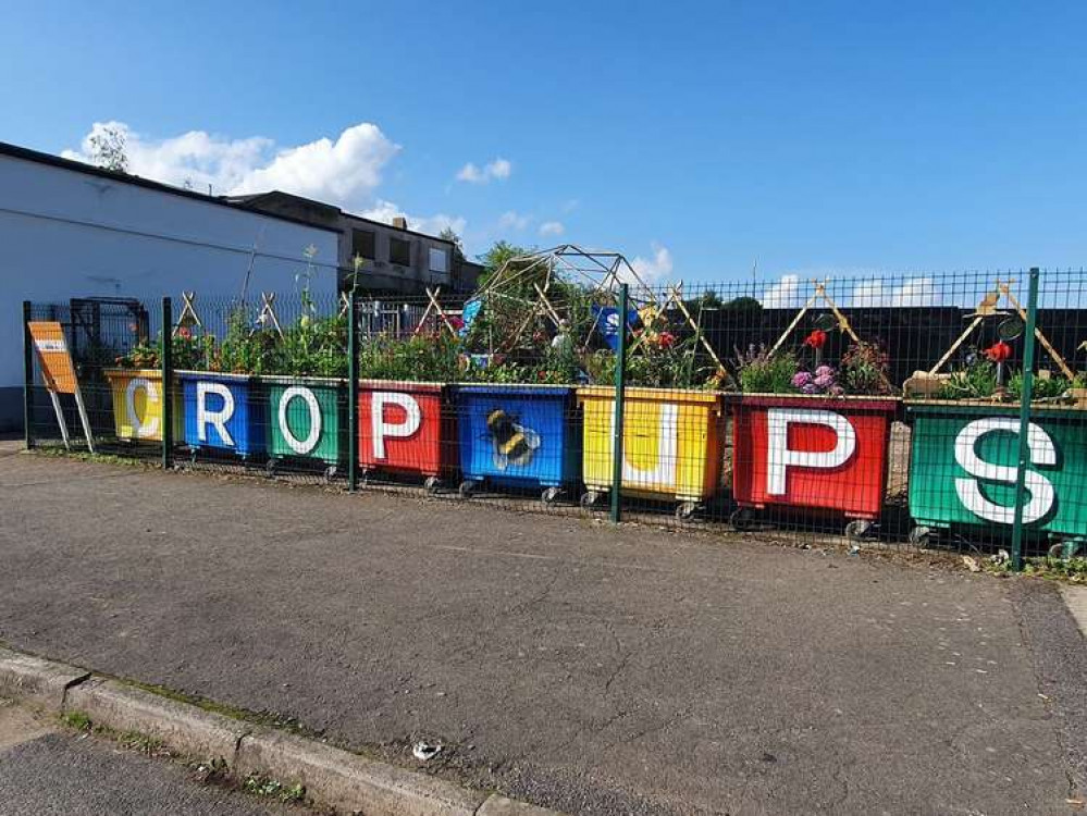 8 colourful wheelie bins are used as planters in the garden (Image: The Community Brain)