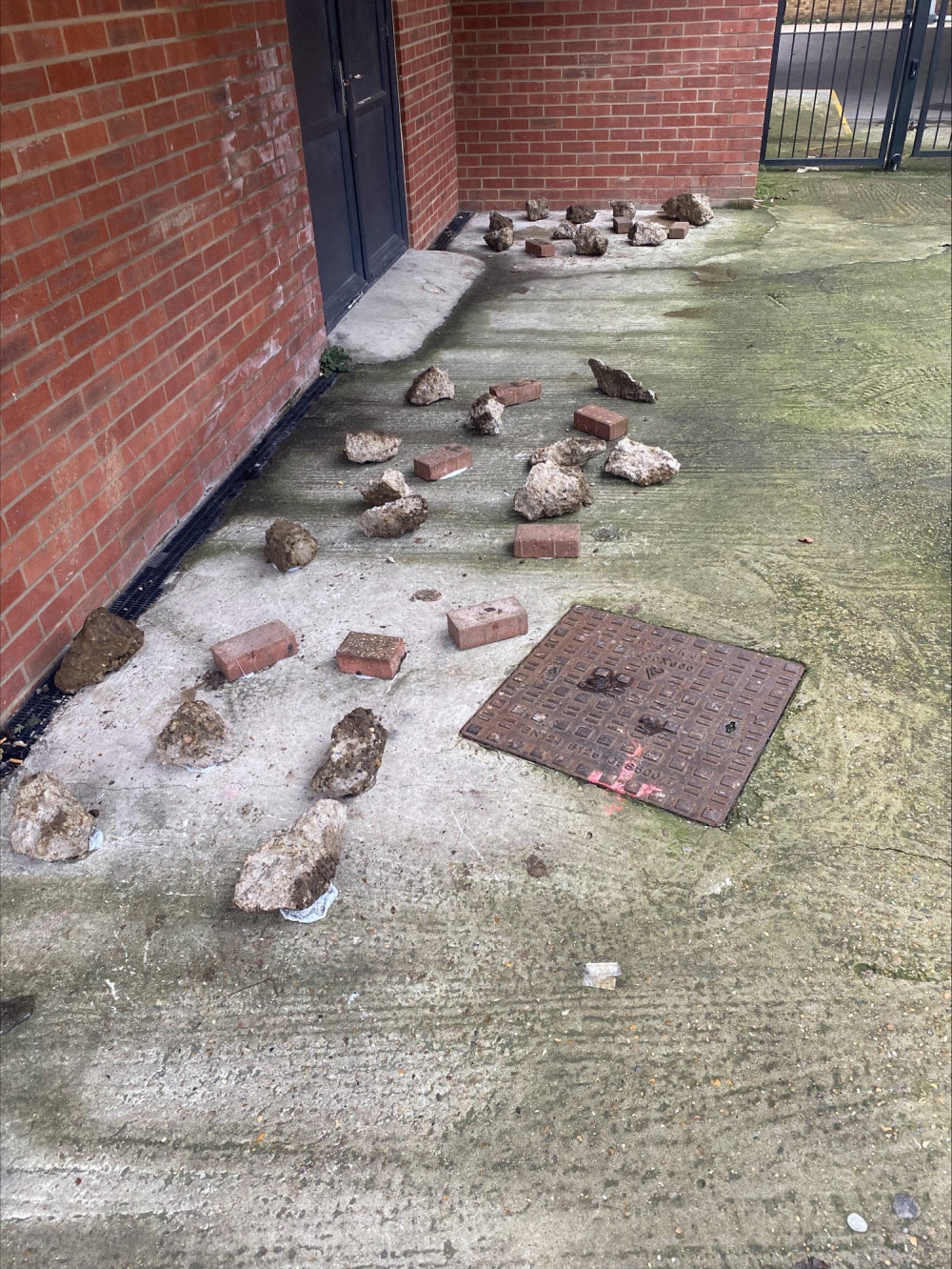 The bricks and rocks glued to the pavement. 