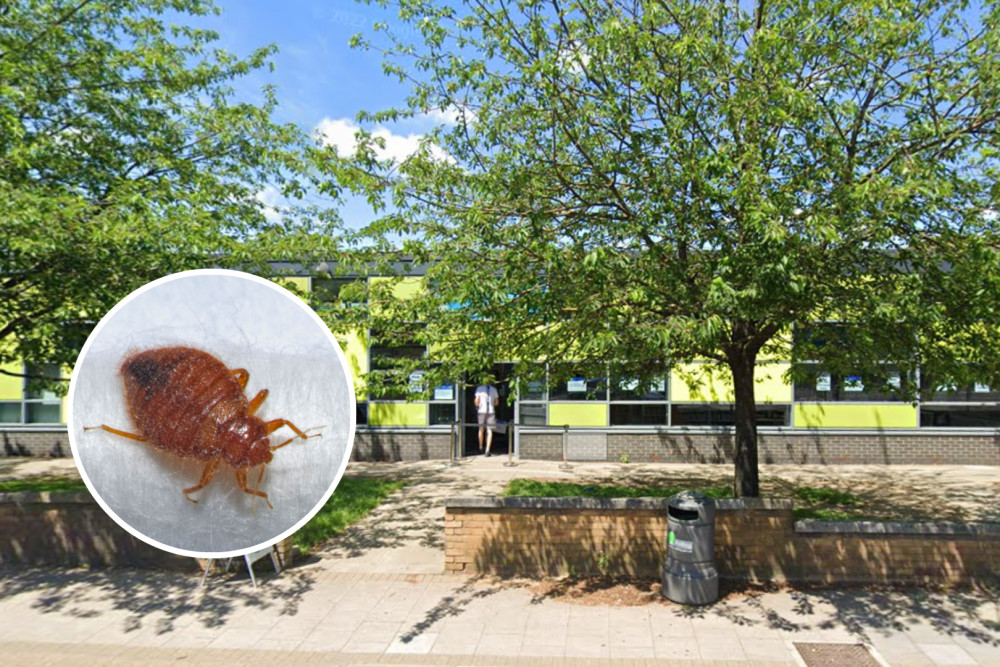 Bed bugs found in Northolt Library makes this the second library to suffer from an infestation in the space of three months (credit: Goggle maps & NHS).