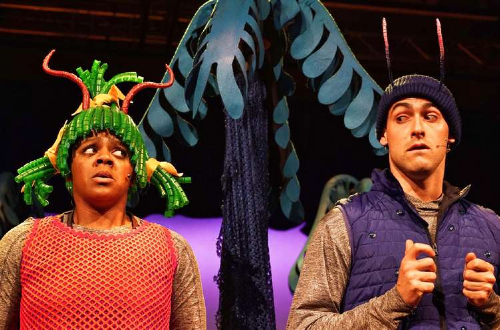 Kingston: The Rose Theatre's new play is an adaptation of the Smeds and the Smoos, a picture book by the team behind the Gruffalo (Image: Rose Theatre)