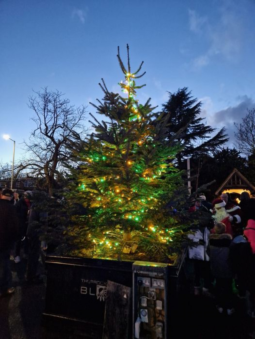 The community Christmas Treet lights before they were destroyed. 