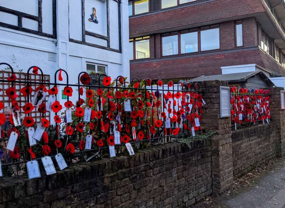 Poppies line the railings of the building on Hollyfield Road (Image: Ellie Brown)