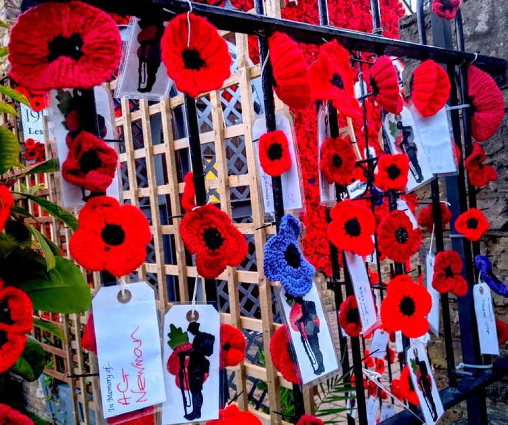 Poppies at Surbiton's Royal British Legion (Image: Jane Wilson)