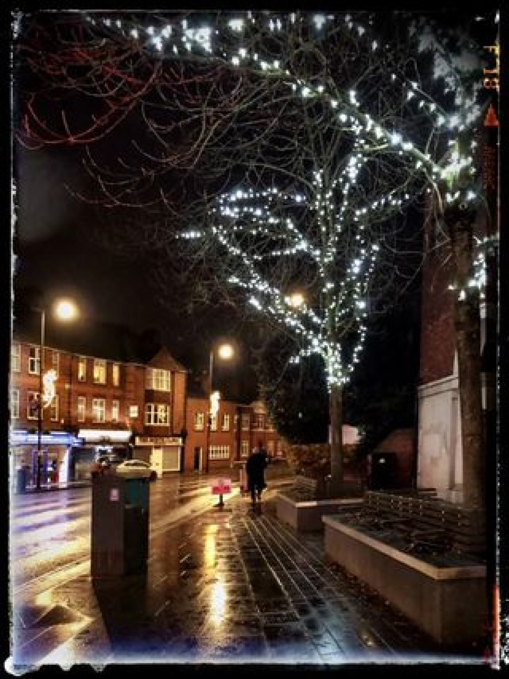 Some pretty lights on a rainy day! (Photo Credit: Ruths Pics).