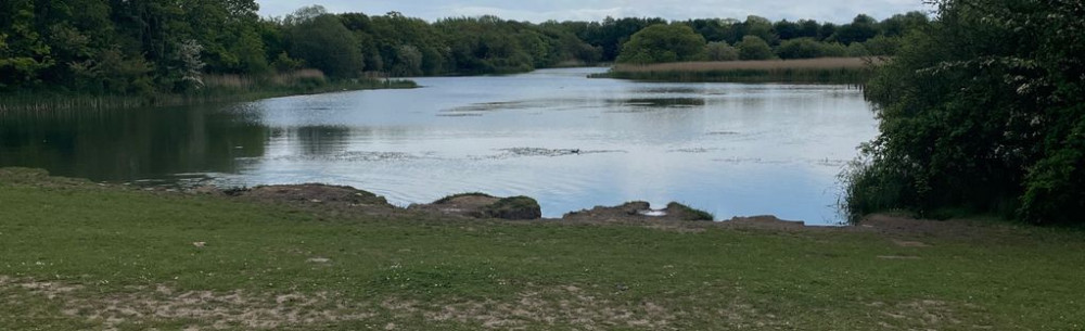 Cogan Wood, located in Cosmeston Lakes.