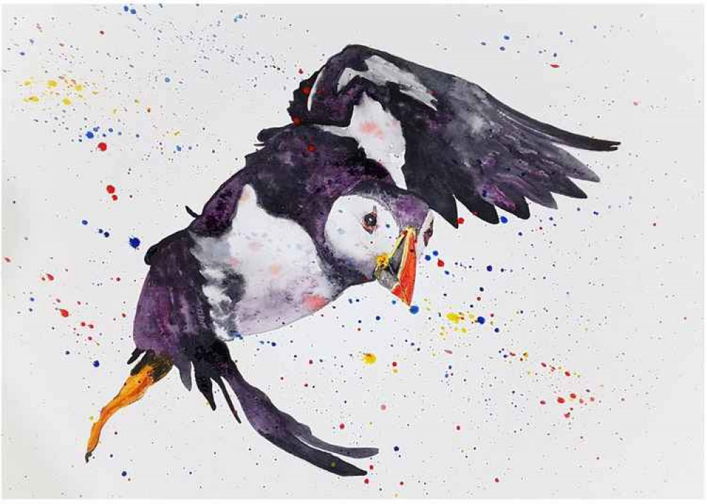 A puffin captured in flight by Andrew Croughton