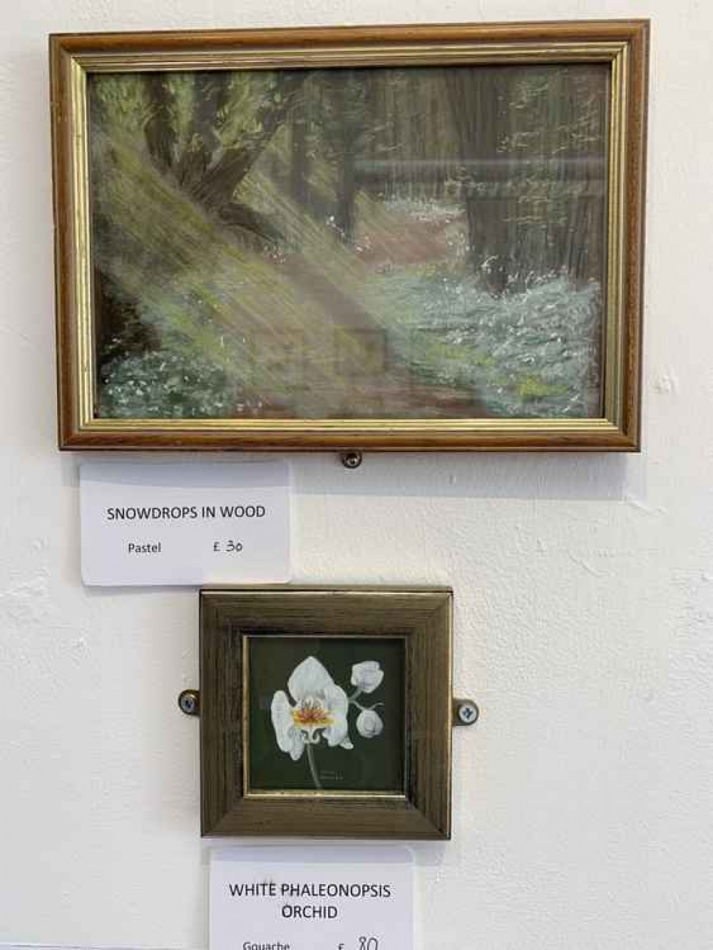 'Snowdrops in Wood' and 'White Phaleonopsis Orchid' by Jean Harley
