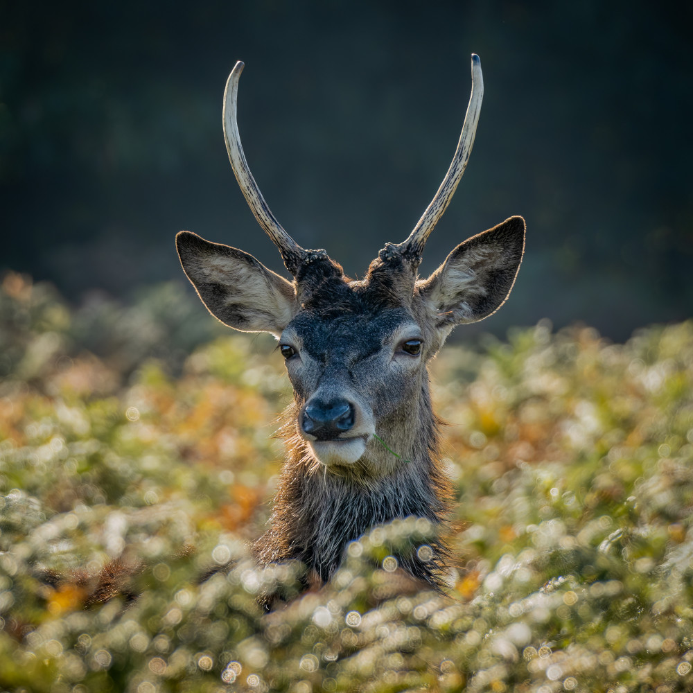 The Richmond and Twickenham Photographic Society Exhibition