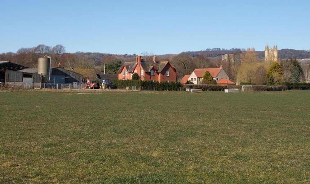 The Palace Farm site in Wells (Photo: Derek Harper) The Palace Farm site in Wells (Photo: Derek Harper)