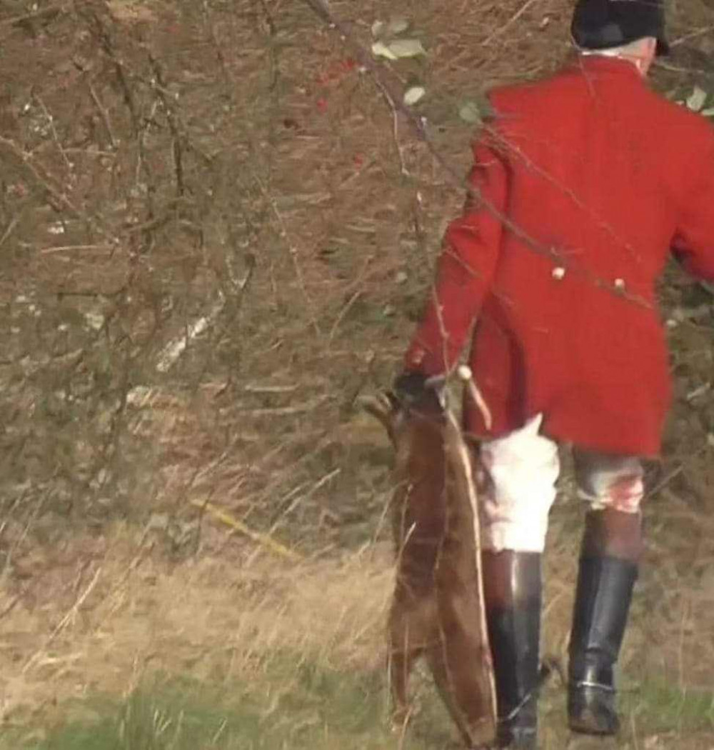 Fox hunting is illegal (Picture: submitted)