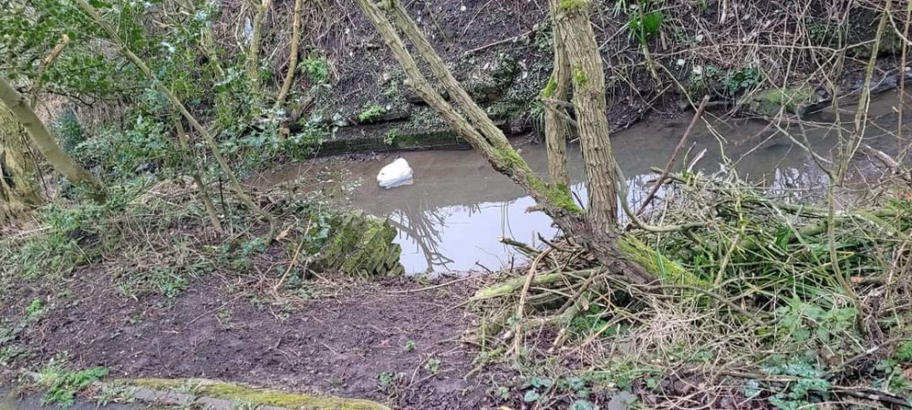 The Gilwiskaw Brook in Ashby. Photos by Richard Issitt