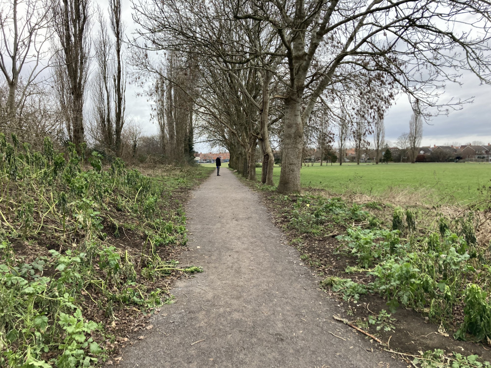 New multi-user paths near Tor Sports And Leisure Centre in Glastonbury. CREDIT: Daniel Mumby. 