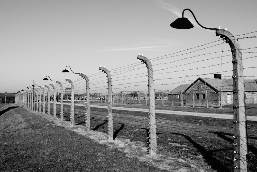 This year's Holocaust Memorial Day theme is The Fragility of Freedom (credit: Marcin Czerniawski/Unsplash). 