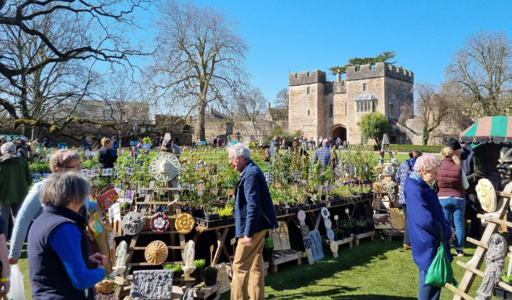 Rare Plant Fair 2024