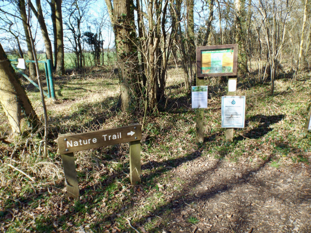 Wolves Wood (Picture: Nub News)