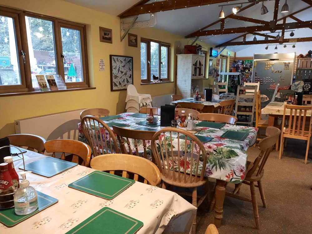 Daphne's Tea Room is a cosy spot to enjoy a hearty, homemade snack or afternoon tea while visiting Rutland Farm Park. Image credit: Nub News. 