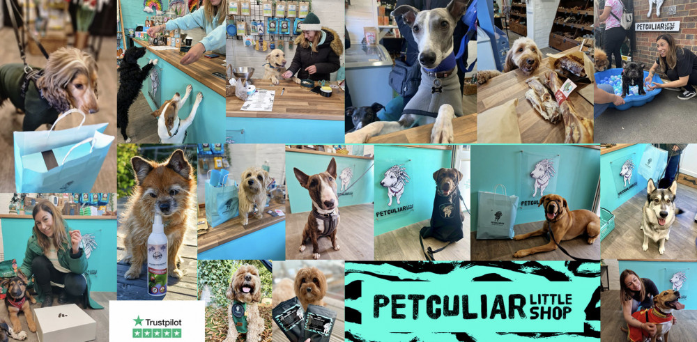 Petculiar - Health Store for Pets Opening Pawty