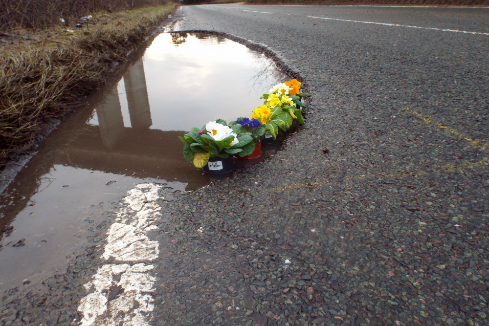 Pot hole pansies (Picture: Nub News)