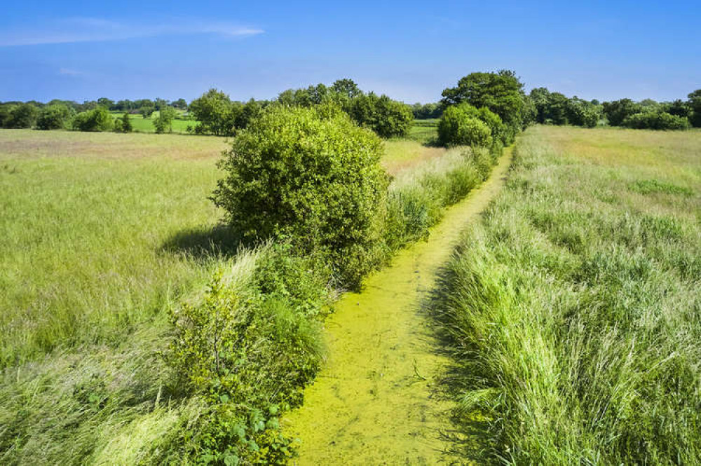 Stream near Honeygar Farm (Photo: Nub News) 