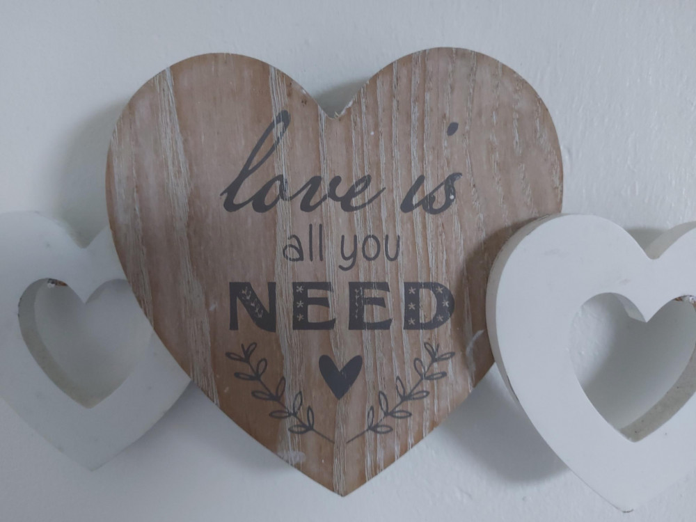 Love is All You Need - and to Volunteer, image Frome Nub News