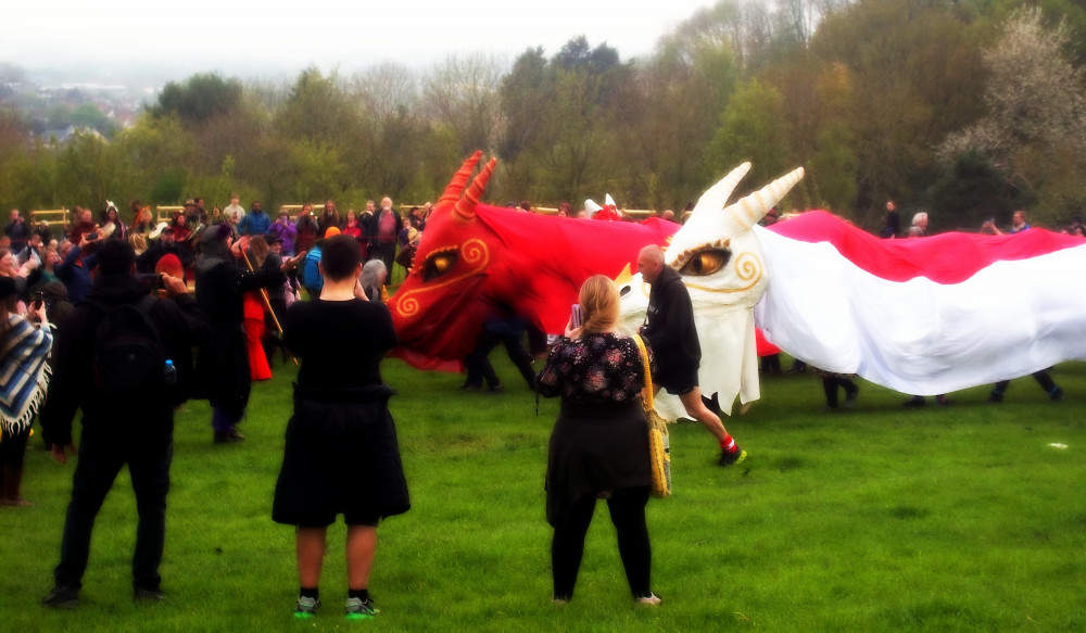 Looking for somewhere to new to nest, Glastonbury Dragons, image The Dragons