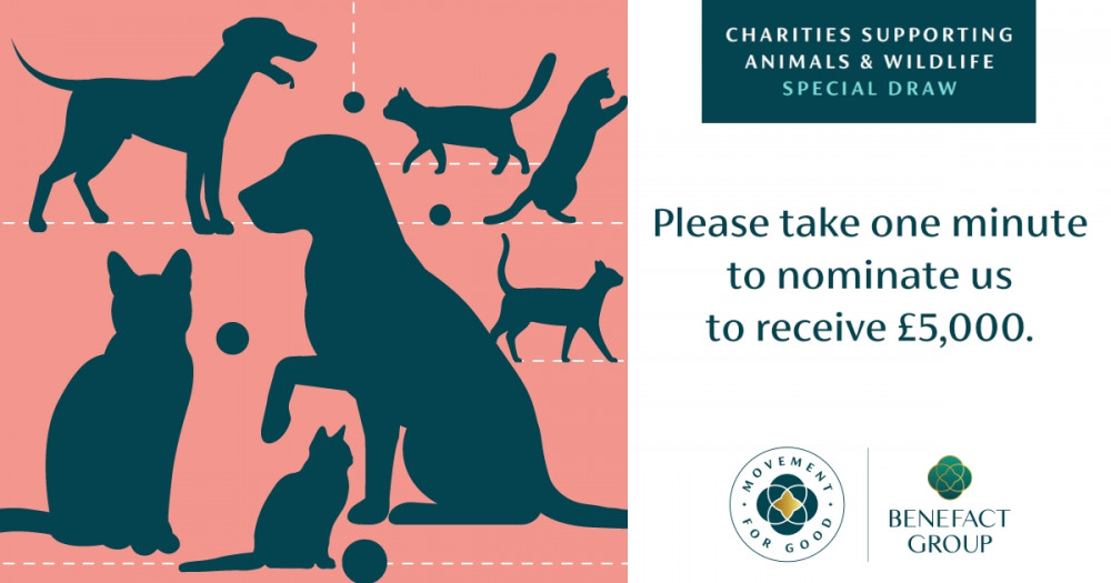Your nomination could be the key to winning £5,000 for the shelter, with a potential additional nomination for £1,000. Your nomination could be the key to winning £5,000 for the shelter, with a potential additional nomination for £1,000.
