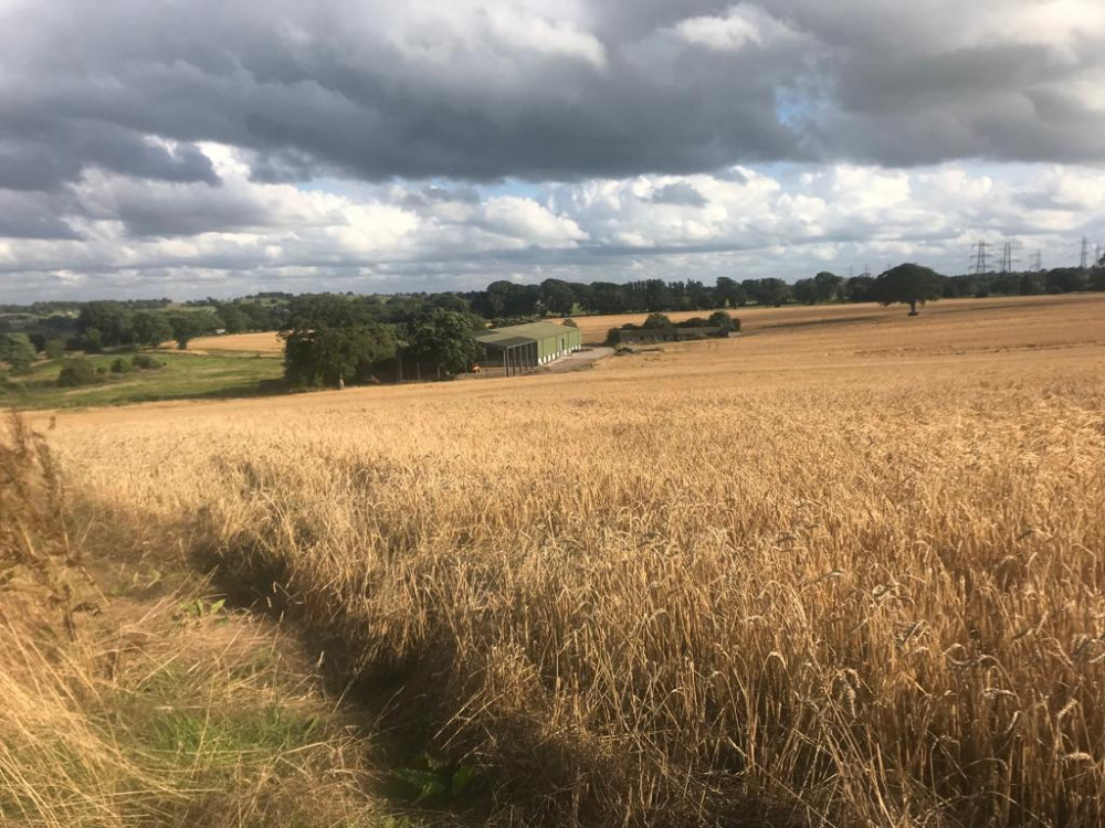 The 141 acre site is located on the edge of Stoke-on-Trent on Rownall Road in Wetley Rocks (Ian Podmore).