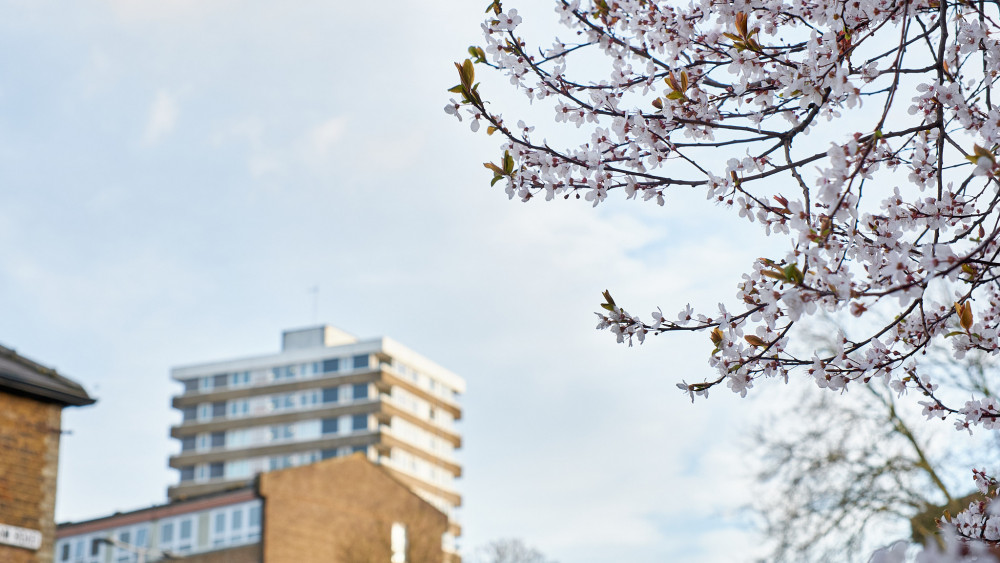 As Kingston begins to emerge from the cold winter months, get out into nature and the community with these events this weekend (Photo: Ollie Monk)