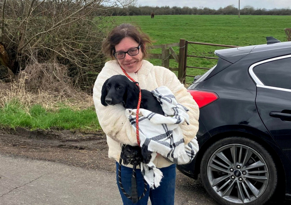 Six-month-old cocker spaniel Bow was rescued near Burton Dassett Country Park (image via SWNS)