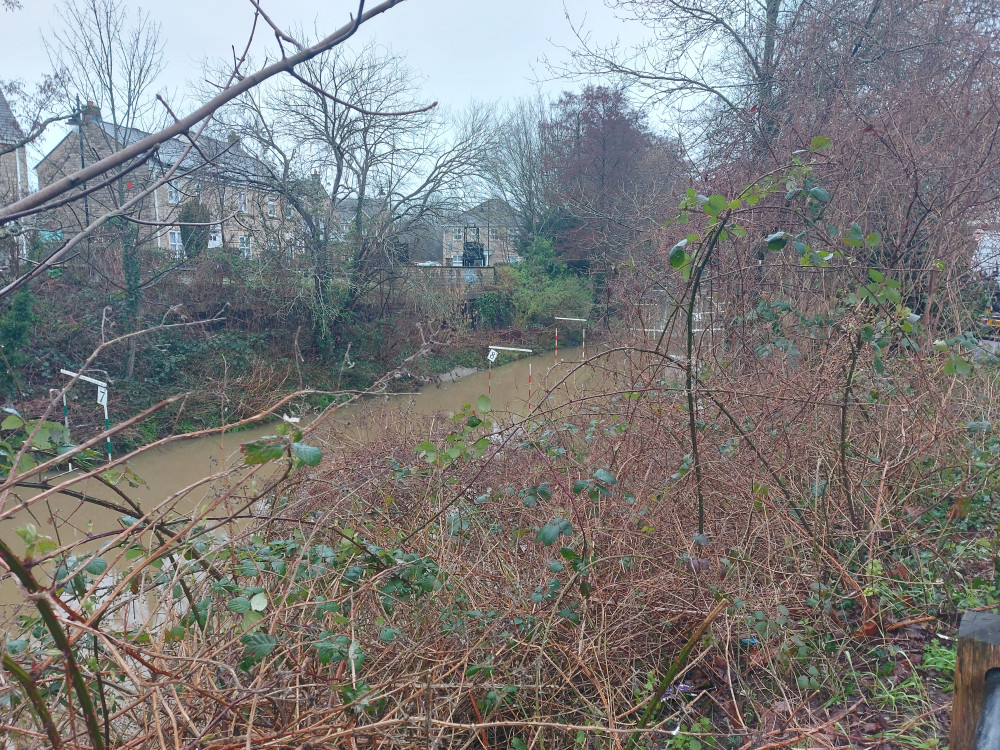 The River Frome March 5, image Frome Nub News 