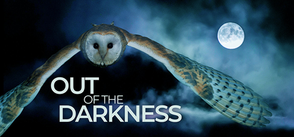 Out Of The Darkness Out Of The Darkness