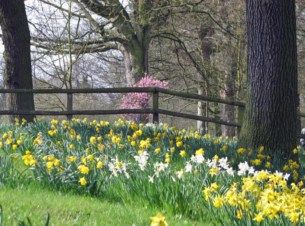 very Thursday, we bring you top picks in Sandbach and near for our What's On Guide. (Photo: Rode Hall - Scholar Green) 