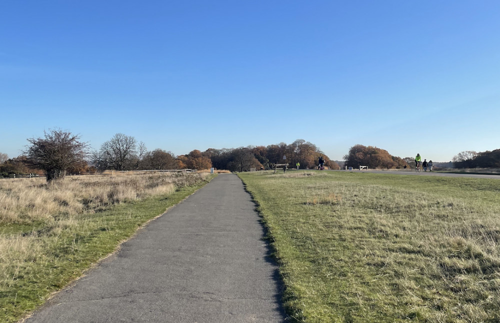 The Friends of Richmond Park explain how you can help save Richmond Park's skylarks